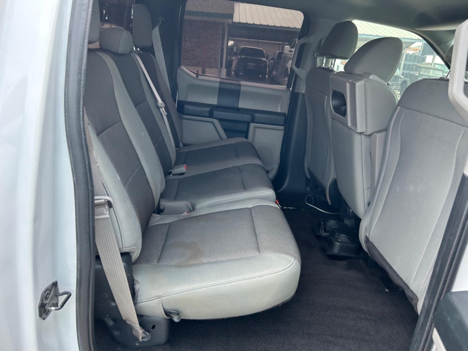 2019 White Ford F-150 (1FTEW1C55KK) with an 5.0L V8 F DOHC 32V engine, Automatic transmission, located at 1687 Business 35 S, New Braunfels, TX, 78130, (830) 625-7159, 29.655487, -98.051491 - Photo #4